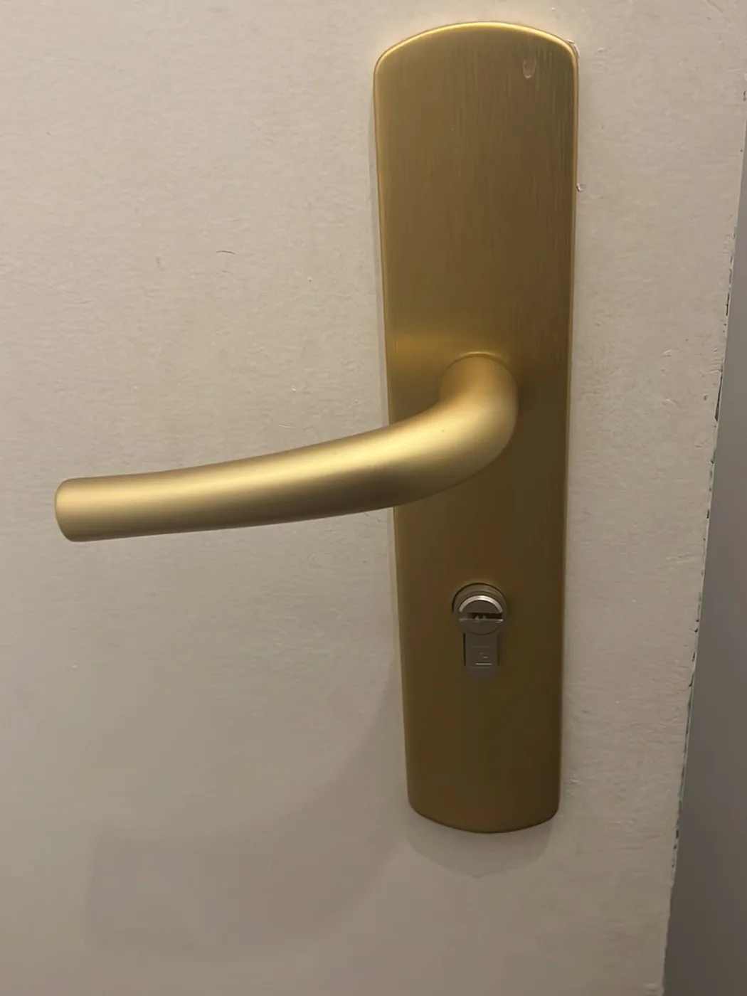 Poignée de porte avec serrure de sécurité à Paris